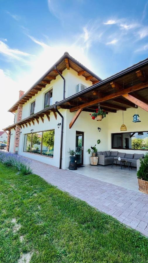 فيلا Epic House Valea Avrigului المظهر الخارجي الصورة